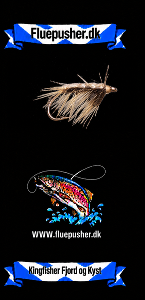 Kingfisher Fjord og Kyst – Tanglopper