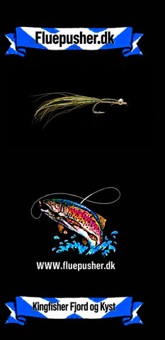 Kingfisher Fjord og Kyst – Stejlen Olive