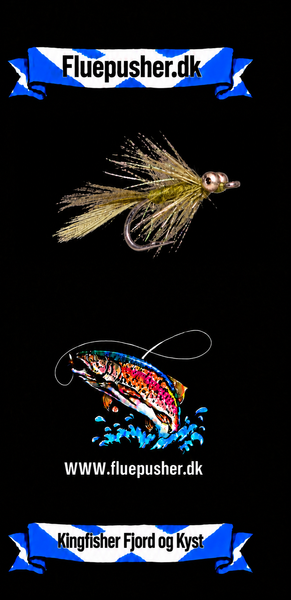 Kingfisher Fjord og Kyst – Magnus