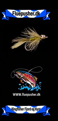 Kingfisher Fjord og Kyst – Magnus Oliven