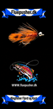 Kingfisher Fjord og Kyst – Magnus