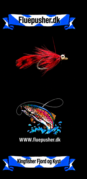 Kingfisher Fjord og Kyst – Magnus