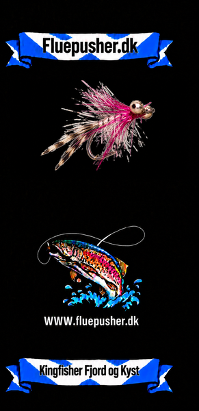 Kingfisher Fjord og Kyst – Magnus