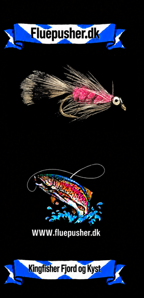 Kingfisher Fjord og Kyst – Magnus