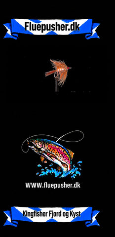 Kingfisher Fjord og Kyst – Autumfly
