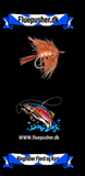 Kingfisher Fjord og Kyst – Autumfly