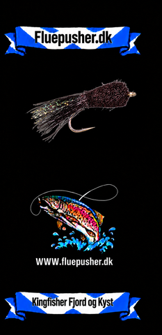 Kingfisher Fjord og Kyst – Cigaren