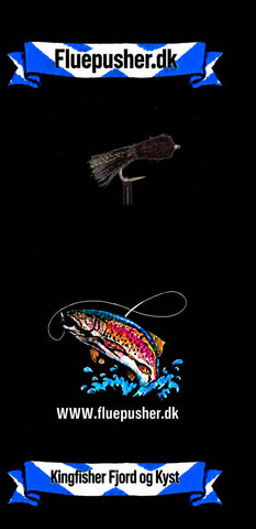 Kingfisher Fjord og Kyst – Cigaren