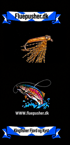 Kingfisher Fjord og Kyst – Gold Charlie
