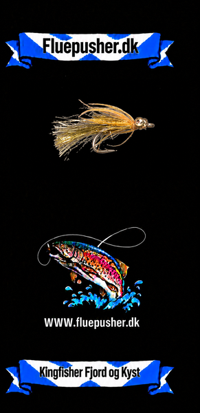 Kingfisher Fjord og Kyst – Hindsholmfluen