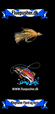 Die Hindsholm-Fliege