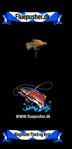 Die Hindsholm-Fliege