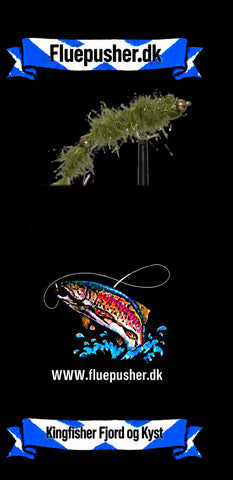 Olivenbürstenwurm