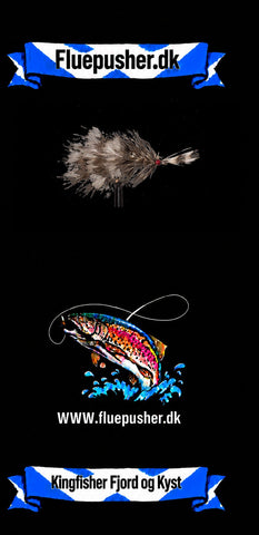 Kingfisher Fjord og Kyst – Sandhesten