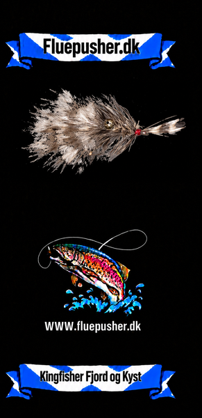 Kingfisher Fjord og Kyst – Sandhesten