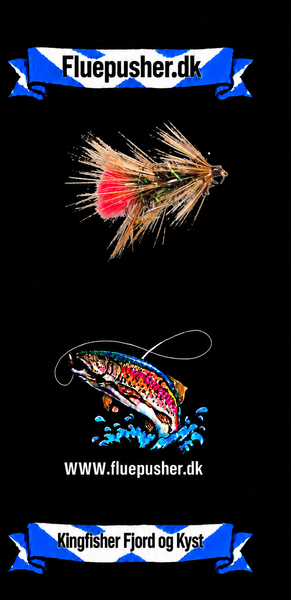 Kingfisher Fjord og Kyst – Uldsokken variant