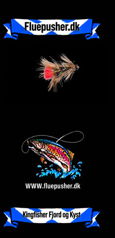 Kingfisher Fjord og Kyst – Uldsokken Variant