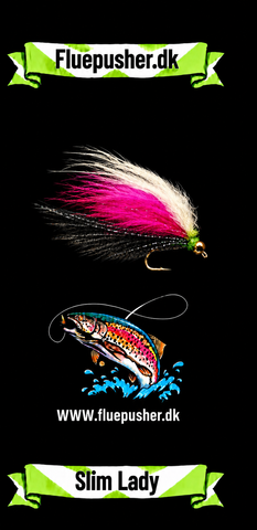 Kingfisher Slim Lady