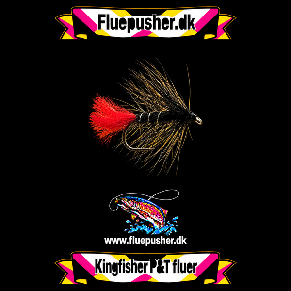 Black Zulu wet-nyheder