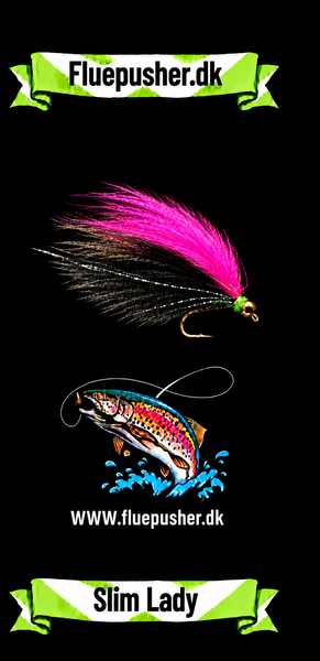 Kingfisher Slim Lady