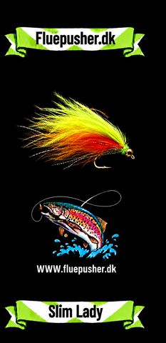 Kingfisher Slim Lady