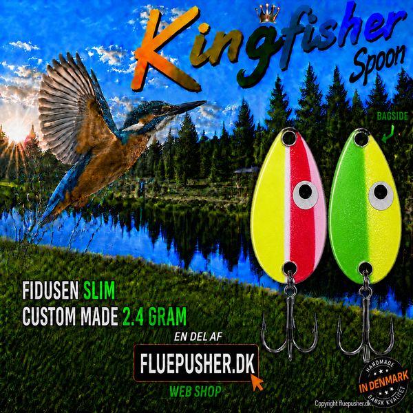 Kingfisher Custom