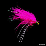 FP Slim Lady gummiben pink/sort