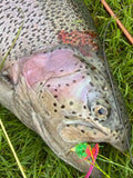 Cirkusfluen Chartreuse/pink gummiben Ugens storfanger