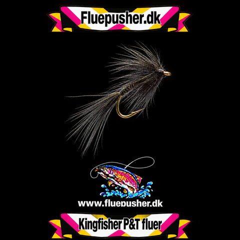Black mosquito spider
