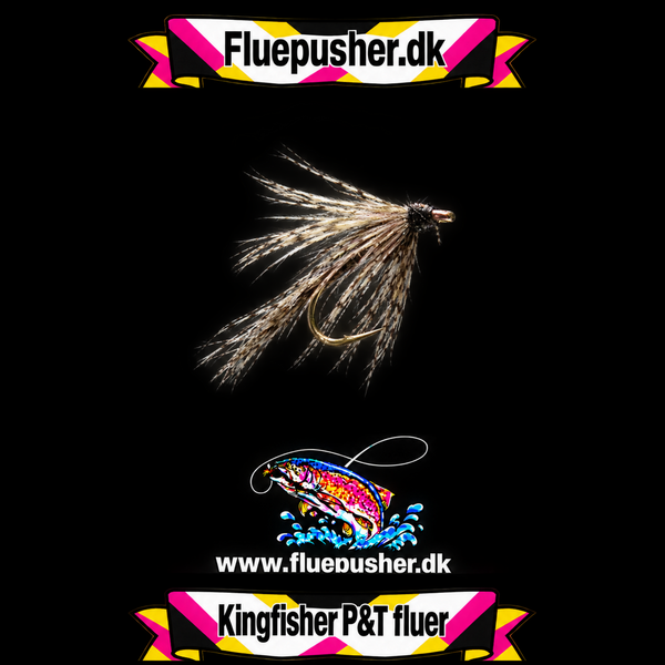 wet partridge mosquito spider
