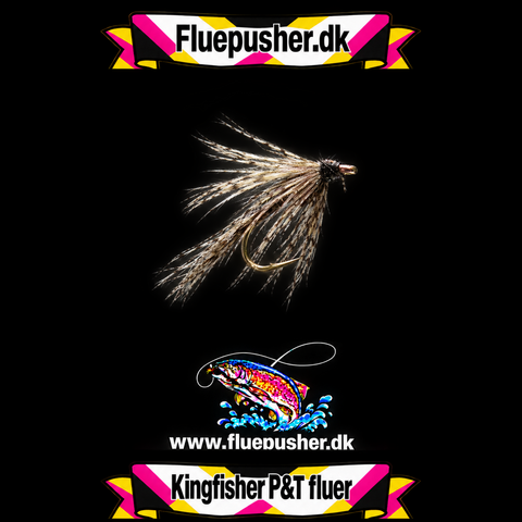 wet partridge mosquito spider