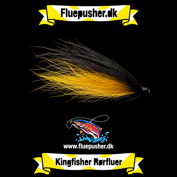 Black and yellow bottle neck – Kingfisher Rørfluer