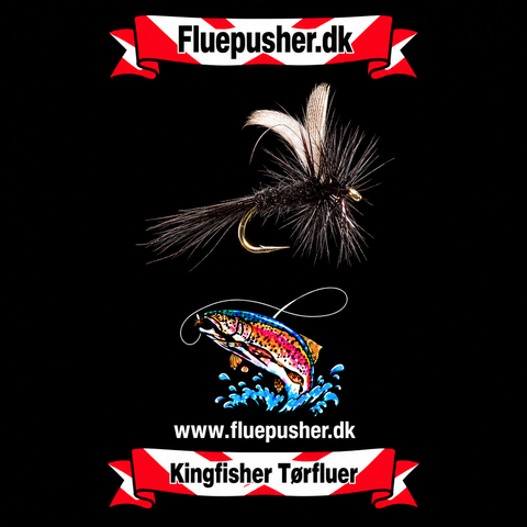 Black gnat