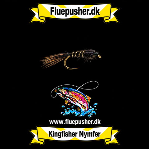 Black goldribbet Pheasant tail