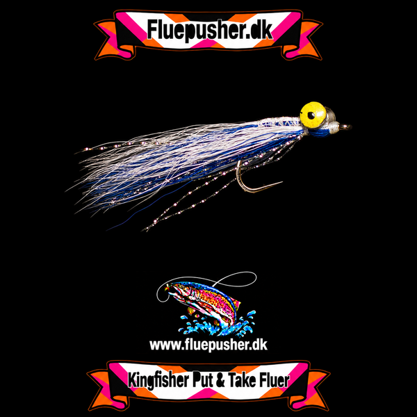 Blue deep minnow