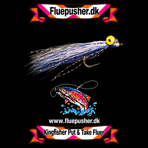 Blue deep minnow