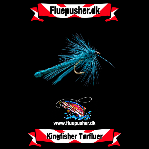 Blue Dragonfly
