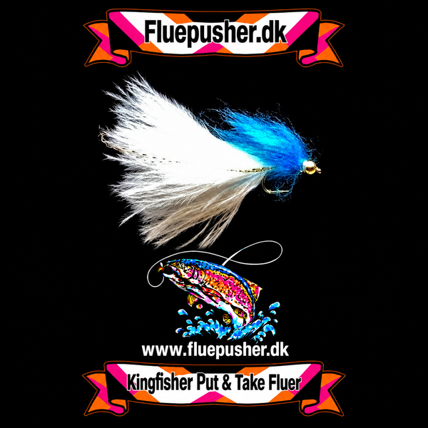 Blue Græker long tail