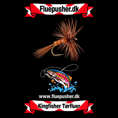 Brown Midge