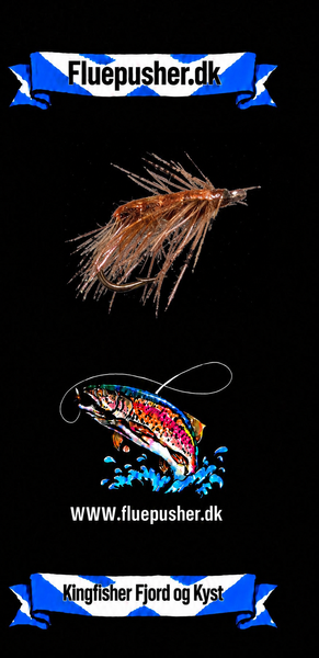 Kingfisher Fjord og Kyst – Brun Tangloppe – produktbillede