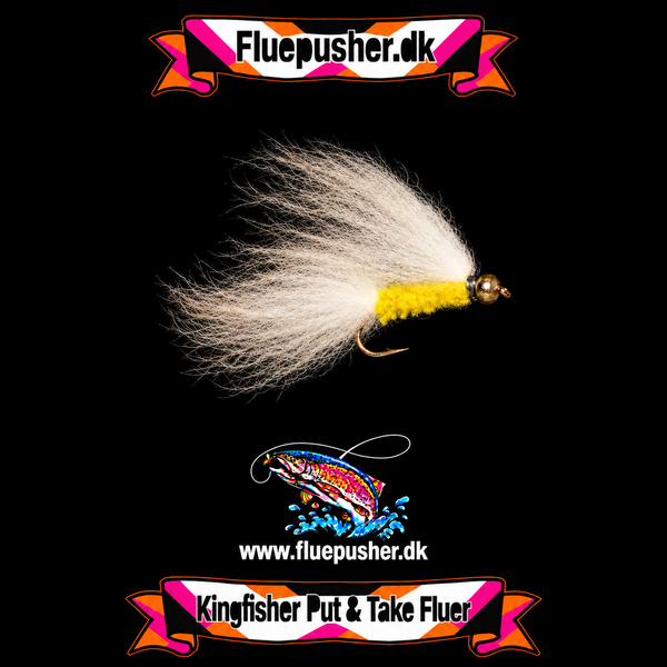 Fluffy Yellow Cat