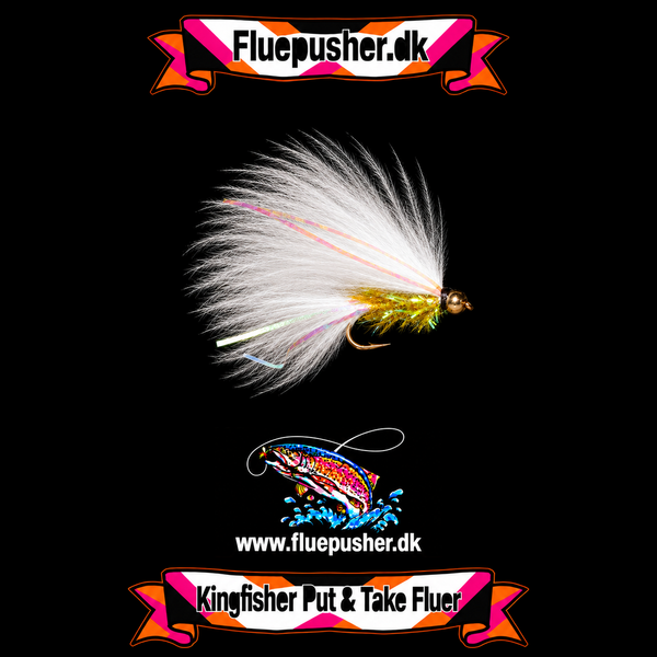 Golden Fritz cats whisker sommer