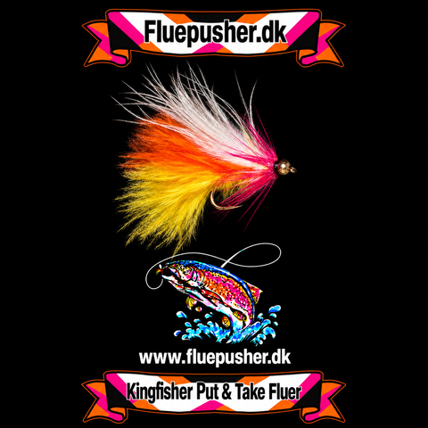 Cats whisker cirkus