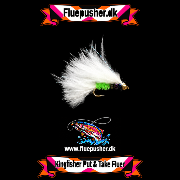 Cats whisker pearl/Herningfluen-Nyheder