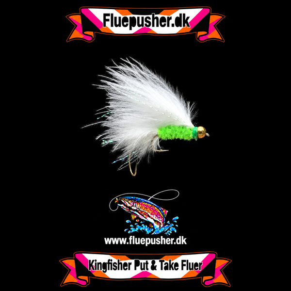 Cats whisker stinger/Herningfluen-Nyheder