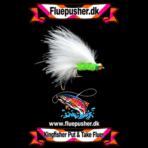 Cats whisker stinger/Herningfluen-Nyheder