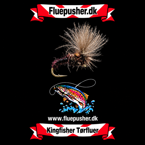 Cdc klinkhammer claret