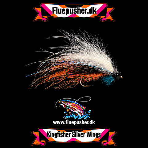 Silver wing white/orange
