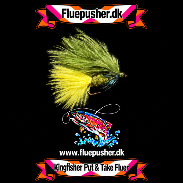 Dawson Olive Cat