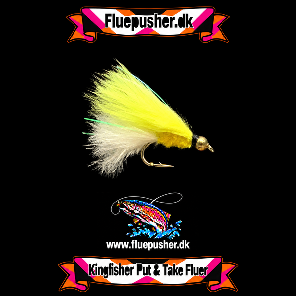 Deep Yellow white cats whisker wide gap Vinter